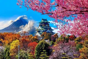 Japan Tour Packages from India​ for Unique Adventures​ <br> <span> 09 Days </span>