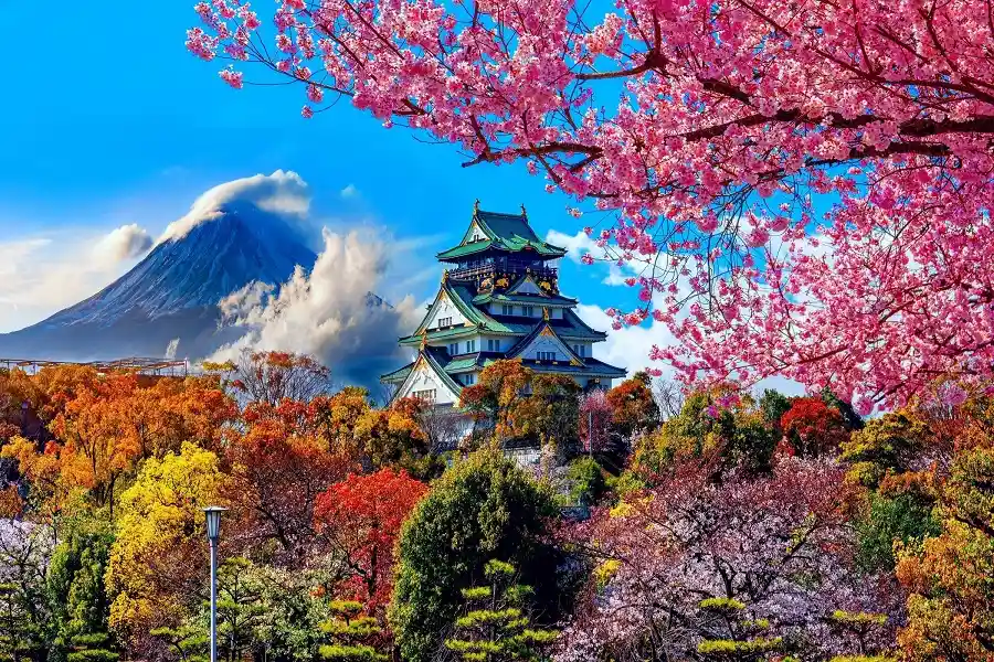 Discover Japan tour packages from india​ and explore stunning landscapes, iconic temples, cherry blossoms, and vibrant culture!